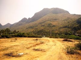 在三百峰, 班武里府出售的 土地, 三百峰, 三百峰