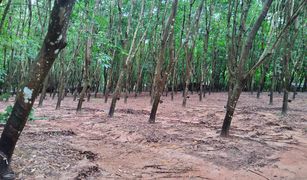 N/A Land for sale in Nam Kaen, Nan 