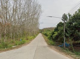  Grundstück zu verkaufen in Ban Khai, Rayong, Nong Bua, Ban Khai