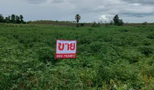 N/A Land for sale in Suk Duean Ha, Chai Nat 