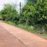  Land for sale in Nakhon Phanom, Ban Kho, Phon Sawan, Nakhon Phanom