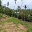  Land for sale in Koh Samui Surat Thani, Maret