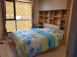 1 Schlafzimmer Appartement zu vermieten im Life Sukhumvit 48, Phra Khanong, Khlong Toei