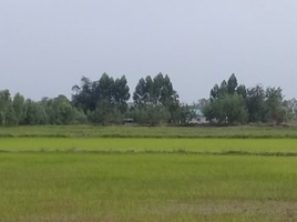 在那空那育出售的 土地, Wang Krachom, Mueang Nakhon Nayok, 那空那育