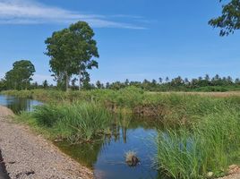  Land for sale in Bang Chan, Mueang Phetchaburi, Bang Chan