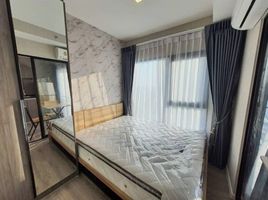 Studio Condo for rent at Kensington Sukhumvit – Thepharak, Thepharak