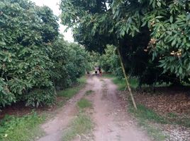  Land for sale in Phrao, Chiang Mai, Pa Tum, Phrao