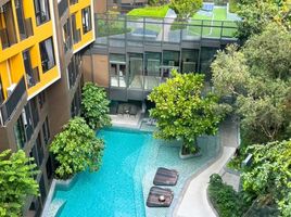 Studio Condo for rent at THE BASE Central Phuket, Wichit