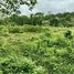  Land for sale in Trat, Ko Chang Tai, Ko Chang, Trat