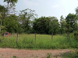  Land for sale in Dong Chen, Phu Kamyao, Dong Chen