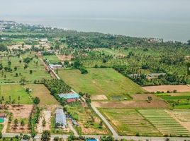  Grundstück zu verkaufen in Pran Buri, Prachuap Khiri Khan, Pak Nam Pran, Pran Buri