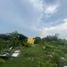 ขายที่ดิน ใน เมืองปทุมธานี ปทุมธานี, หลักหก