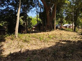  Land for sale in Nuea Khlong, Krabi, Ko Si Boya, Nuea Khlong