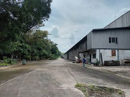 ขายคลังสินค้า สตูดิโอ ใน บ้านค่าย ระยอง, หนองบัว