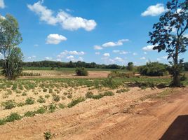  Land for sale in Sakhrai, Nong Khai, Khok Chang, Sakhrai