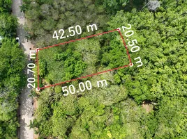  Land for sale at Yamu Hills, Pa Khlok, Thalang, Phuket