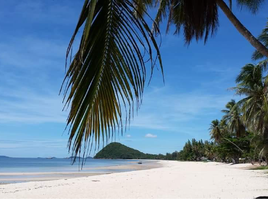 4 Schlafzimmer Haus zu verkaufen im Blu Marina Villa, Saphli, Pathio, Chumphon