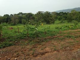  Grundstück zu verkaufen in Khao Kho, Phetchabun, Khaem Son, Khao Kho, Phetchabun, Thailand