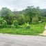  Land for sale in Thalang, Phuket, Thep Krasattri, Thalang