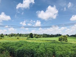  Grundstück zu verkaufen in Nam Phong, Khon Kaen, Muang Wan, Nam Phong, Khon Kaen