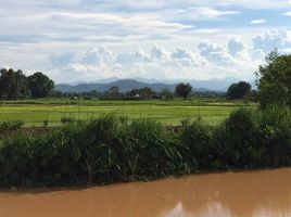  Grundstück zu verkaufen in Phu Phiang, Nan, Fai Kaeo, Phu Phiang, Nan, Thailand