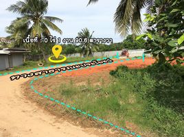  Land for sale in Ru Samilae, Mueang Pattani, Ru Samilae