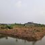  Land for sale in Nin Phet, Bang Len, Nin Phet