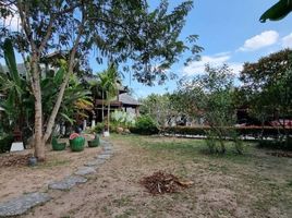 3 Schlafzimmer Villa zu vermieten in Mae Rim, Chiang Mai, Rim Tai, Mae Rim