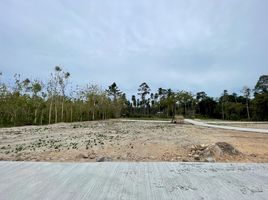  Grundstück zu verkaufen in Koh Samui, Surat Thani, Maenam, Koh Samui