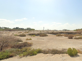 Grundstück zu verkaufen in Palm Jebel Ali, Dubai, Palm Jebel Ali, Dubai, Vereinigte Arabische Emirate