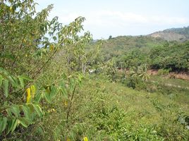  Land for sale in Ko Lanta, Krabi, Ko Lanta Yai, Ko Lanta