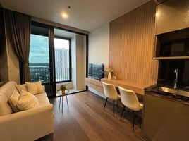 1 Bedroom Condo for rent at Ideo Q Sukhumvit 36, Khlong Tan, Khlong Toei, Bangkok