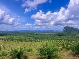  Grundstück zu verkaufen in Ao Luek, Krabi, Khao Yai, Ao Luek, Krabi