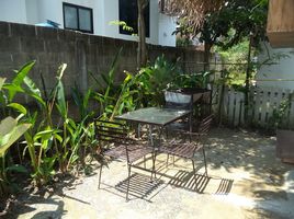 4 Bedroom House for rent in Chiang Mai, Nong Chom, San Sai, Chiang Mai