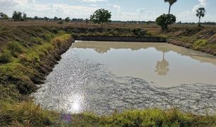 N/A Grundstück zu verkaufen in Thale Bok, Suphan Buri 