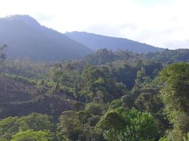  Land for sale in Costa Rica, Turrialba, Cartago, Costa Rica