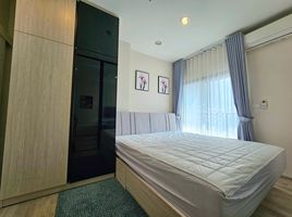 1 Schlafzimmer Appartement zu vermieten im Niche MONO Mega Space Bangna, Bang Kaeo, Bang Phli