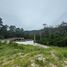  Land for sale in Koh Samui Surat Thani, Maret