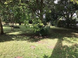  Land for sale in Mora, San Jose, Mora