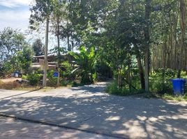  Land for sale in Ban Khai, Rayong, Nong Bua, Ban Khai