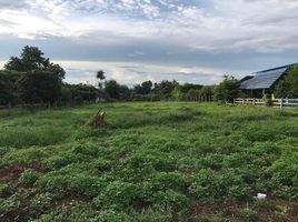  Grundstück zu verkaufen in San Sai, Chiang Mai, Mae Faek Mai, San Sai