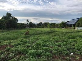  Grundstück zu verkaufen in San Sai, Chiang Mai, Mae Faek Mai