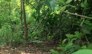 N/A Land for sale in Lo Yung, Phangnga 