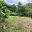  Land for sale in Alajuela, San Mateo, Alajuela