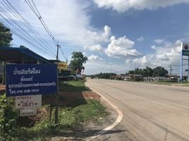  Land for sale in Thailand, Phon Phisai, Nong Khai, Thailand