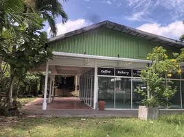 1 Bedroom Shophouse for rent in Thailand, Choeng Thale, Thalang, Phuket, Thailand