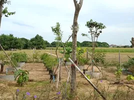 Land for sale in Kanchanaburi, Tha Muang, Tha Muang, Kanchanaburi