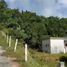  Land for sale in Thalang, Phuket, Pa Khlok, Thalang