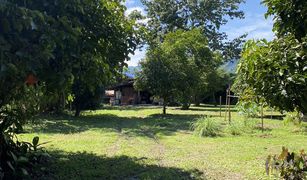 N/A Land for sale in Huai Sak, Chiang Rai 