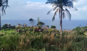 N/A Land for sale in Ko Pha-Ngan, Koh Samui 